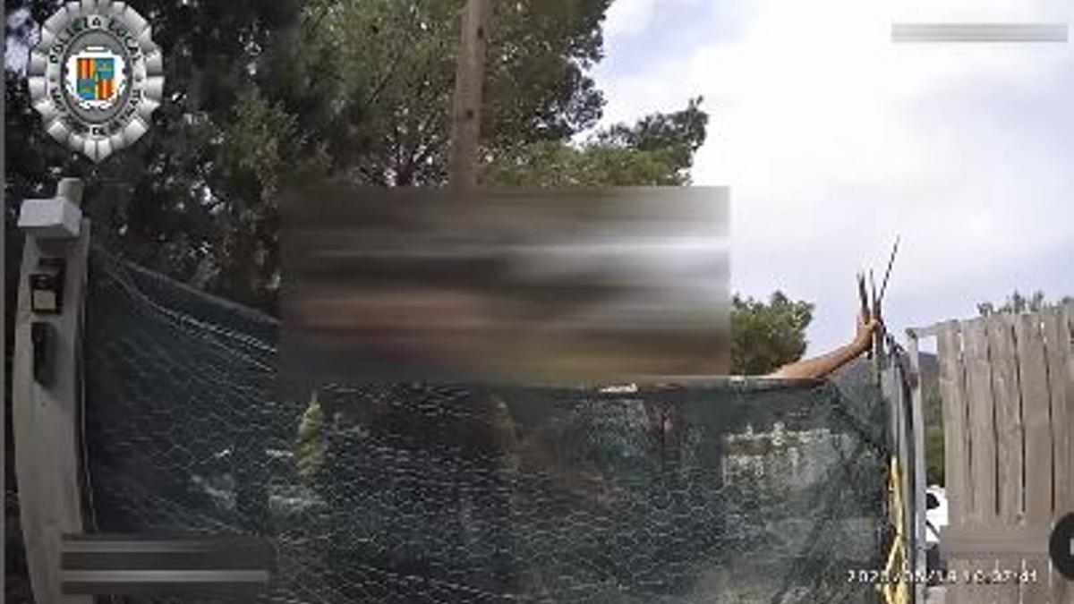 Captura de pantalla del vídeo de la Policía Local de Sant Josep.