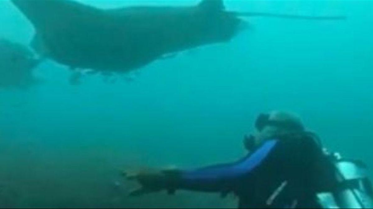 José Luis Moreno buceando con mantas rayas en sus vacaciones en Maldivas en 2019.