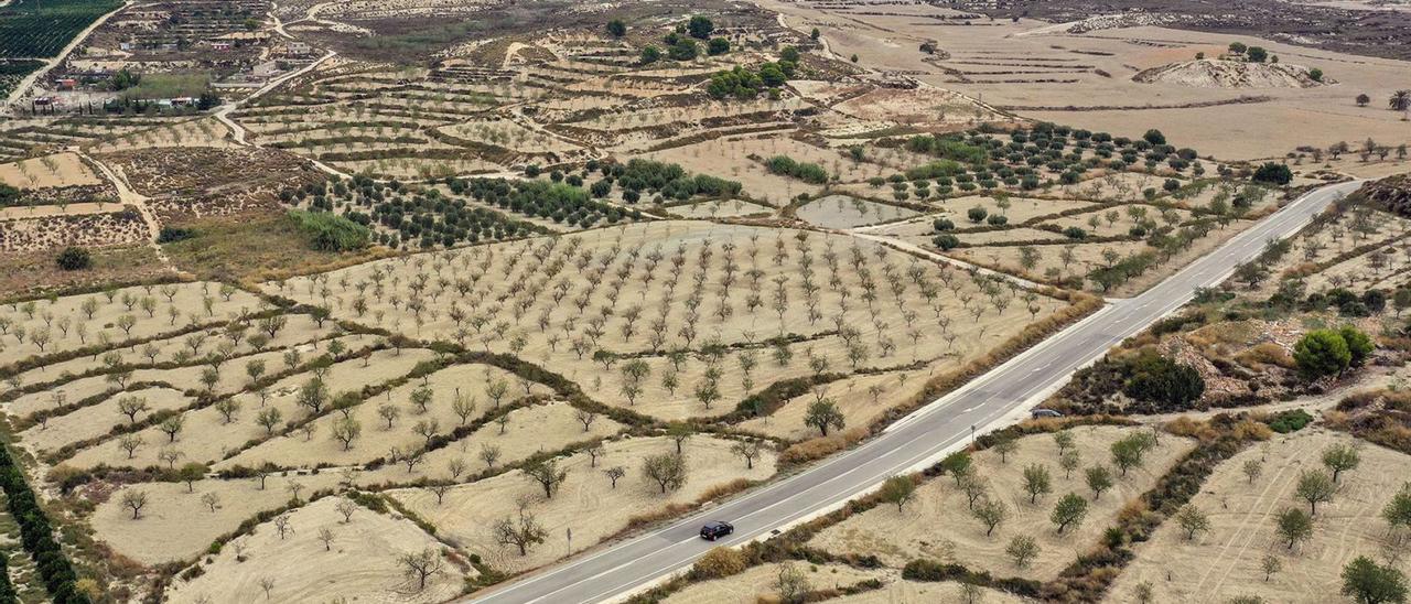 Imagen del valle configurado por las sierras de Pujálvarez y el Cristo, con cultivos de almendros, olivos y garroferos.  | TONY SEVILLA