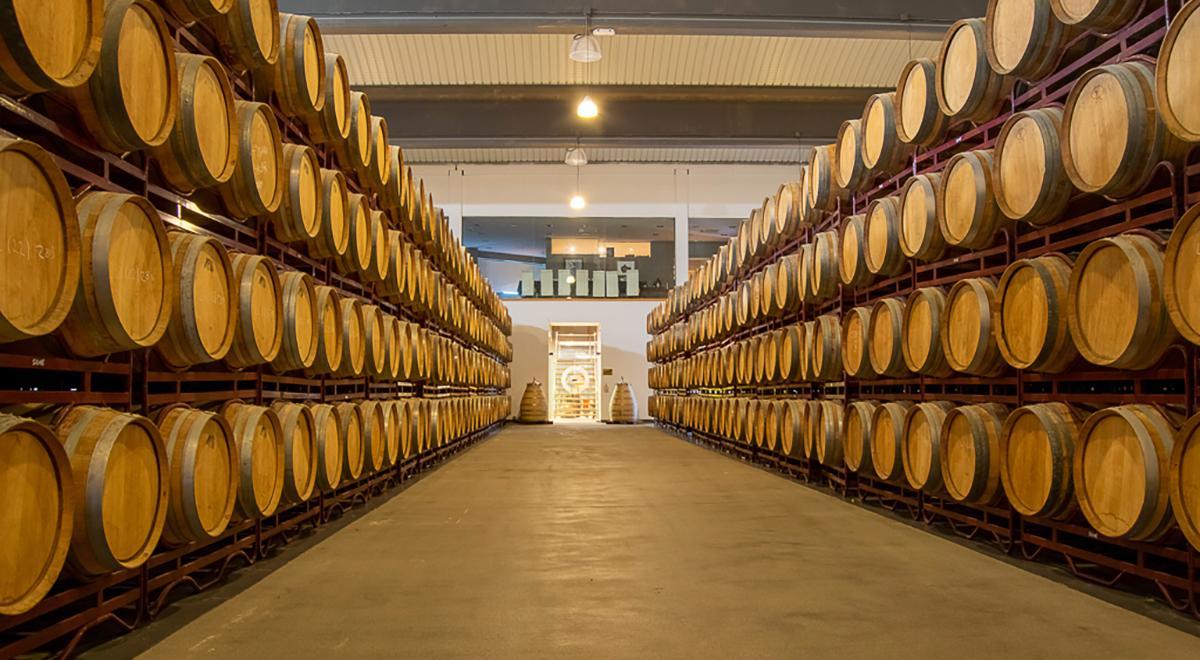 Bodega Zuazo Gaston