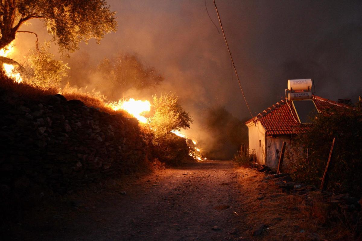 Llamas cerca de una casa en la ciudad de Oren, en la costa del Egeo, en la región turca de Mugla.