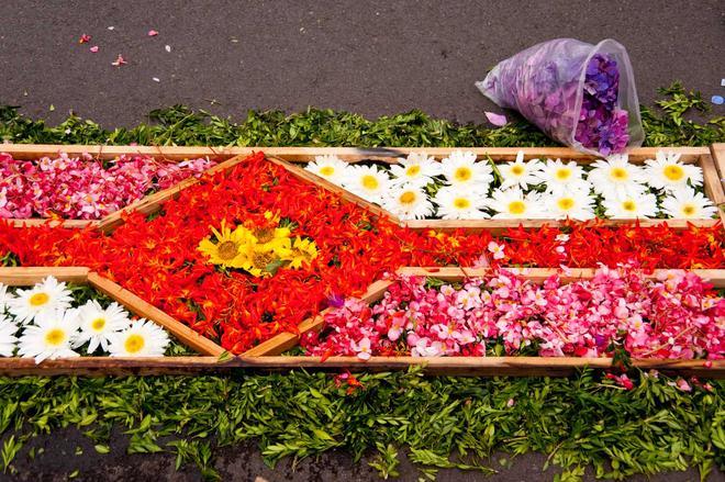 Alfombra Fiesta de la Flor Madeira