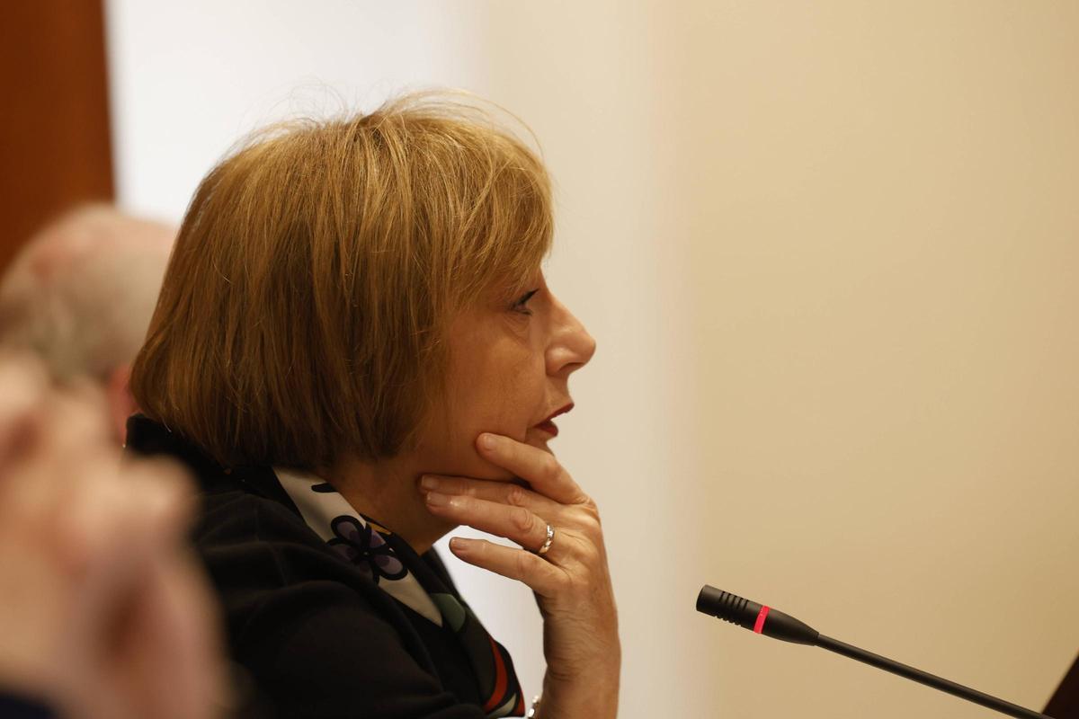 Monteserín, durante su comparecencia en el Pleno.