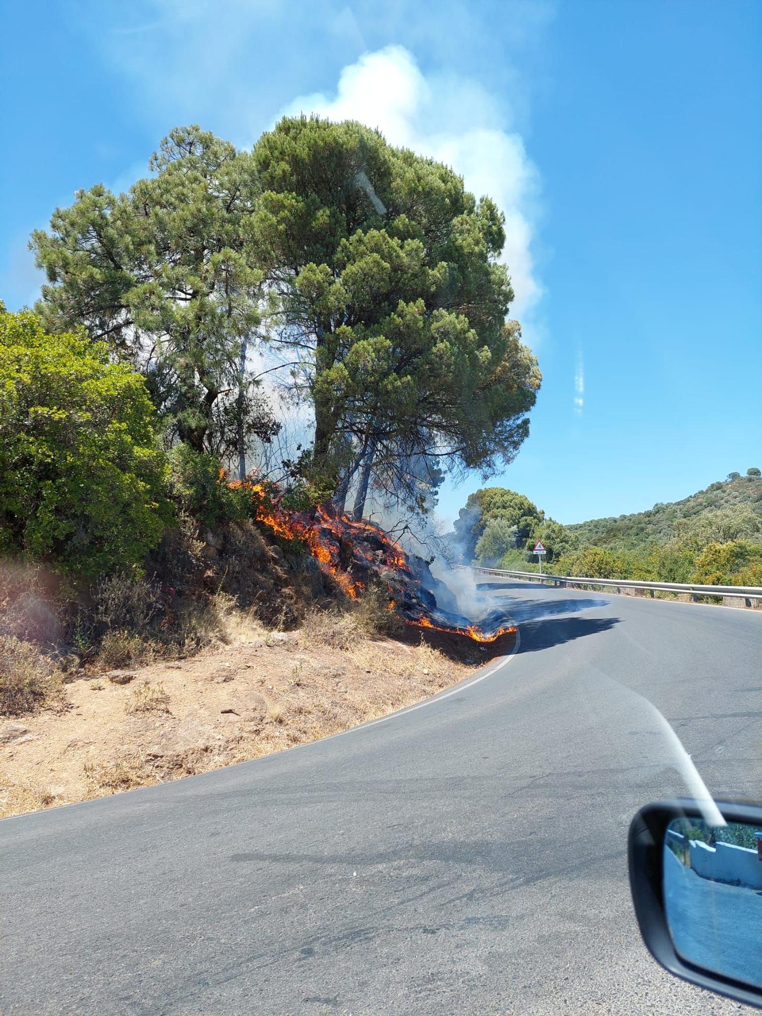 Lugar donde se habría iniciado el fuego, junto a una cuneta.