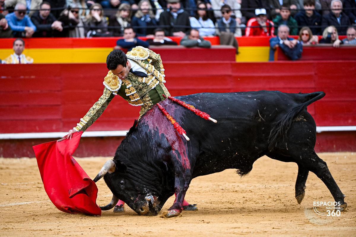 La extraordinaria embestida de 'Brazalete', de Domingo Hernández, en la muleta de Tomás Rufo.