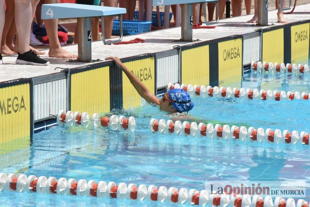 Final del Campeonato regional de natación.