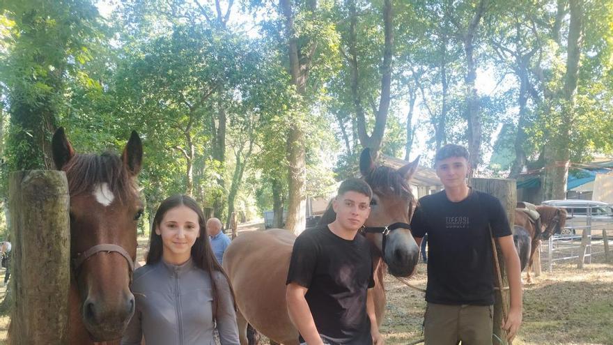 La feria sin vacas de San Pedro de Mallecina, en Salas, en imágenes