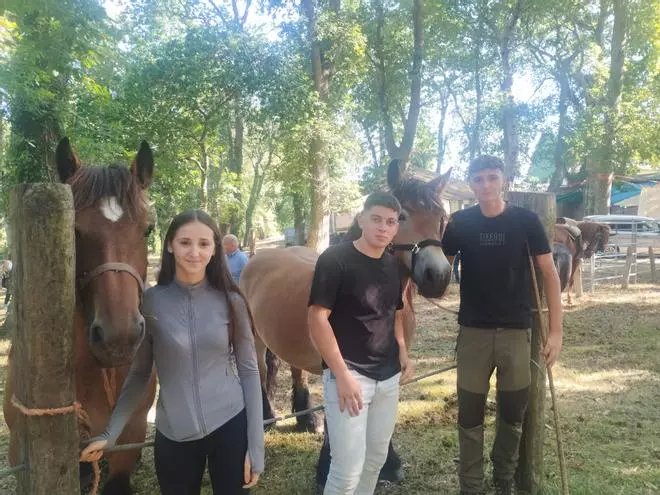 La feria sin vacas de San Pedro de Mallecina, en Salas, en imágenes