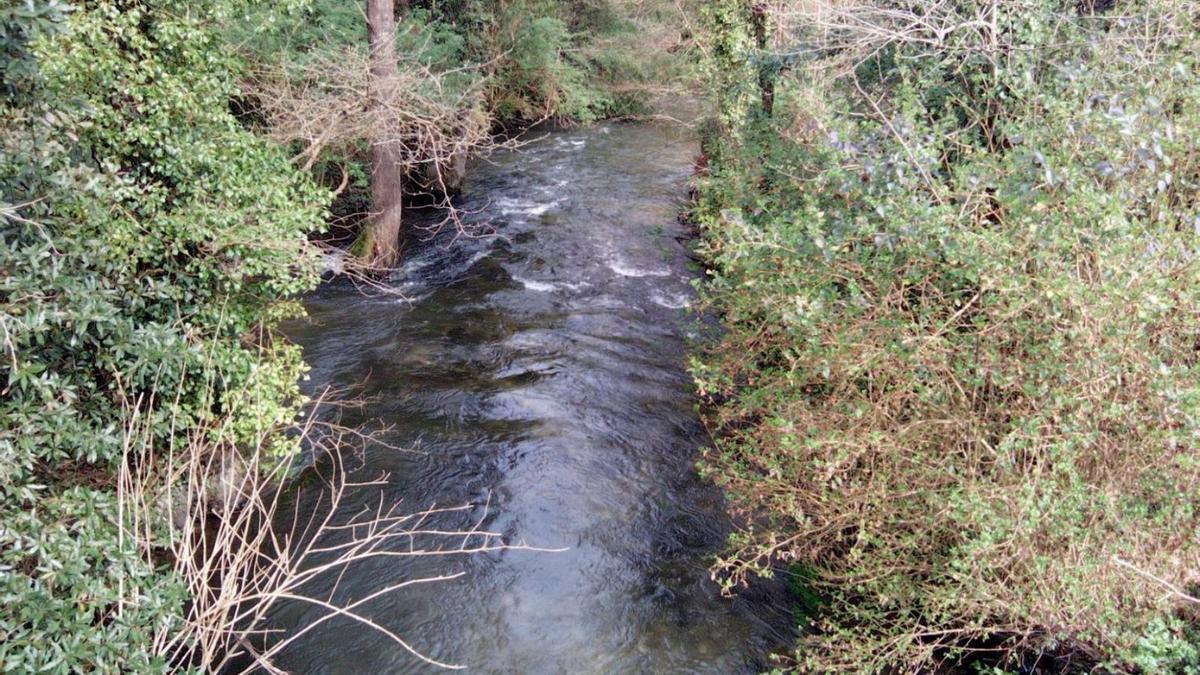 Vista de un tramo del río Barcés y bosque de ribera en sus márgenes. |   // LA OPINIÓN