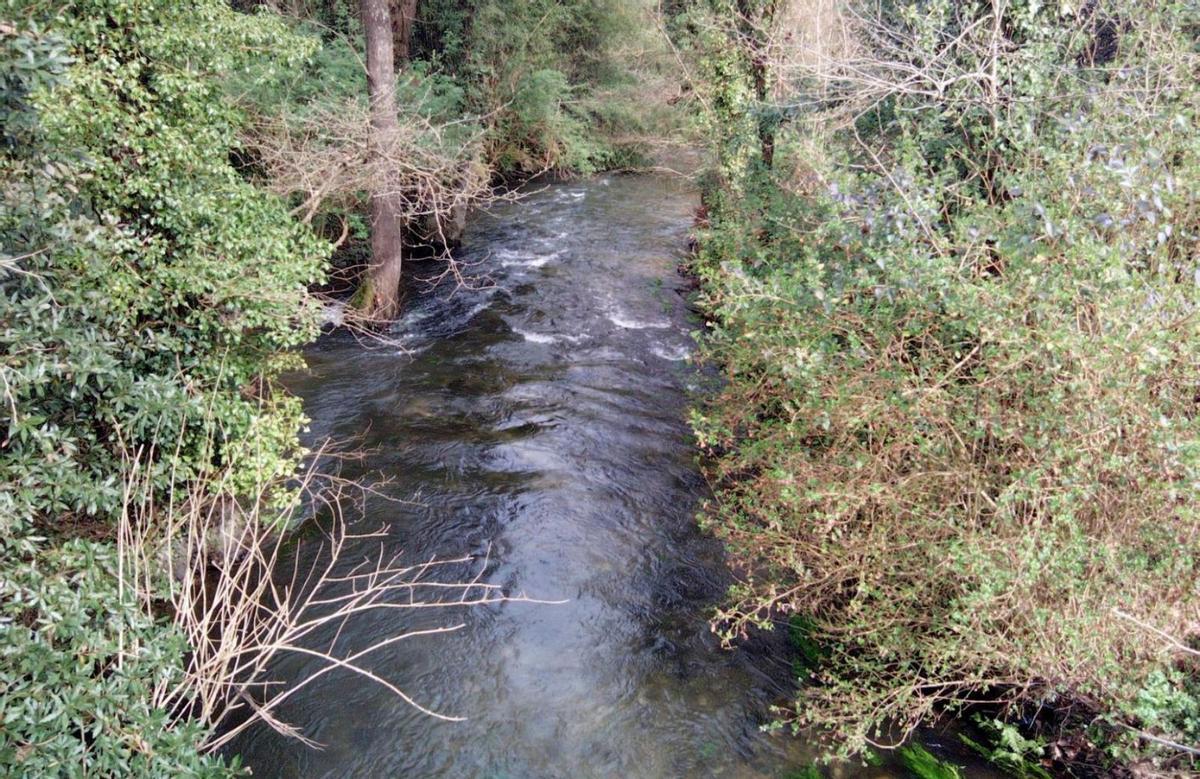 Vista de un tramo del río Barcés y bosque de ribera en sus márgenes. |   // LA OPINIÓN