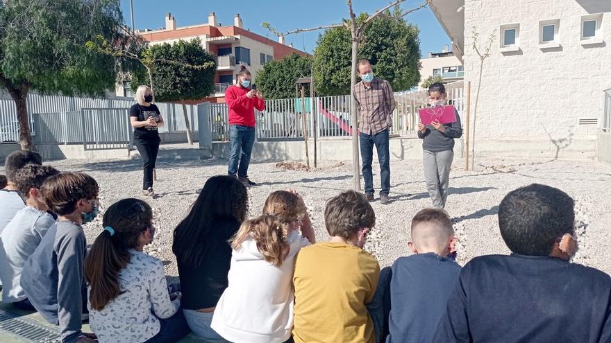 El Ayuntamiento planta más de seiscientos árboles en colegios del municipio