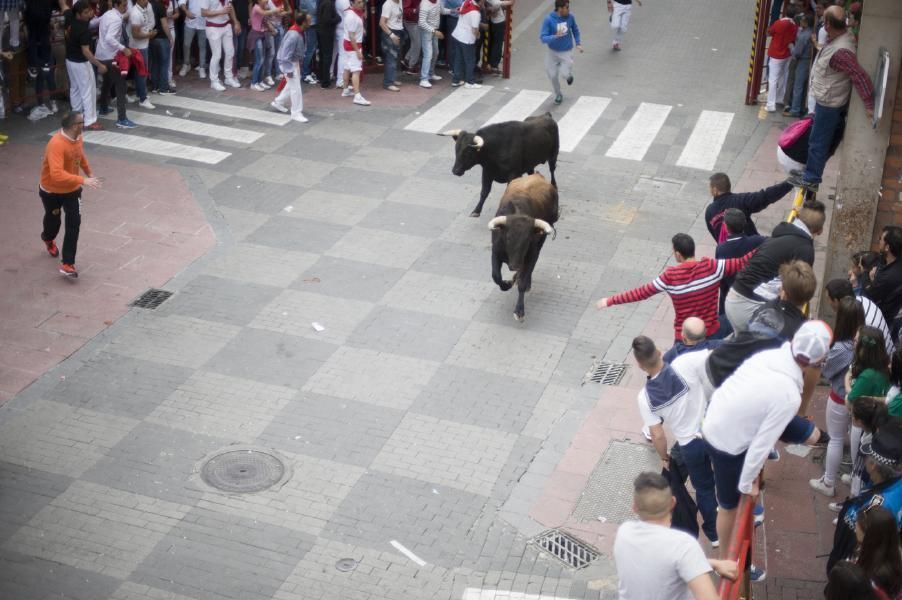 Becerrada, encierros y vaca de la sangría