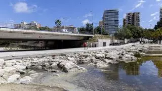 El agua estancada y los malos olores vuelven a dividir la Albufereta tras las lluvias