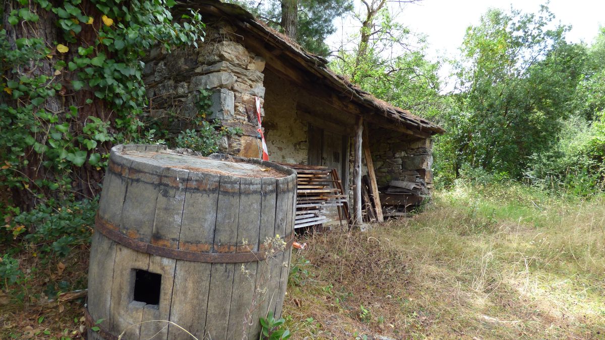 Pueblos guapos de Asturias: Riodeporcos (Ibias), al que se llega cruzando un puente