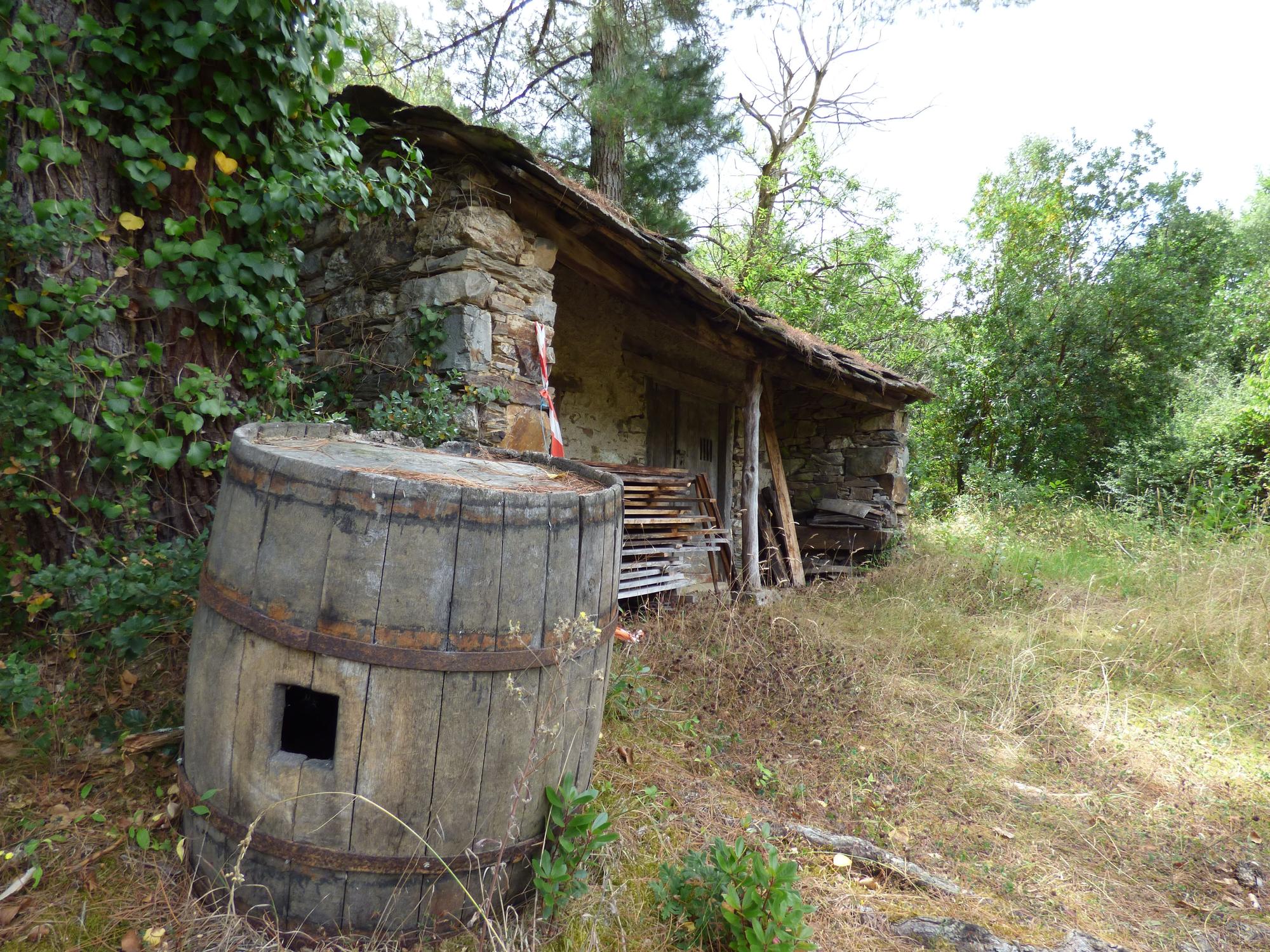 Pueblos guapos de Asturias: Riodeporcos (Ibias), al que se llega cruzando un puente