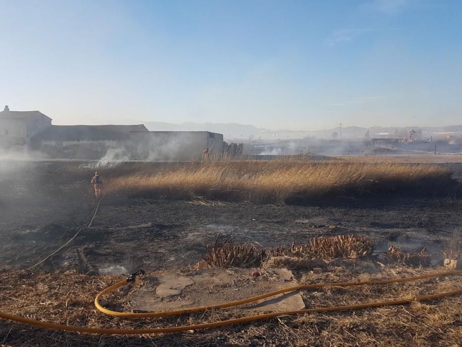 Incendio forestal en el Marjal dels Moros en Sagunt