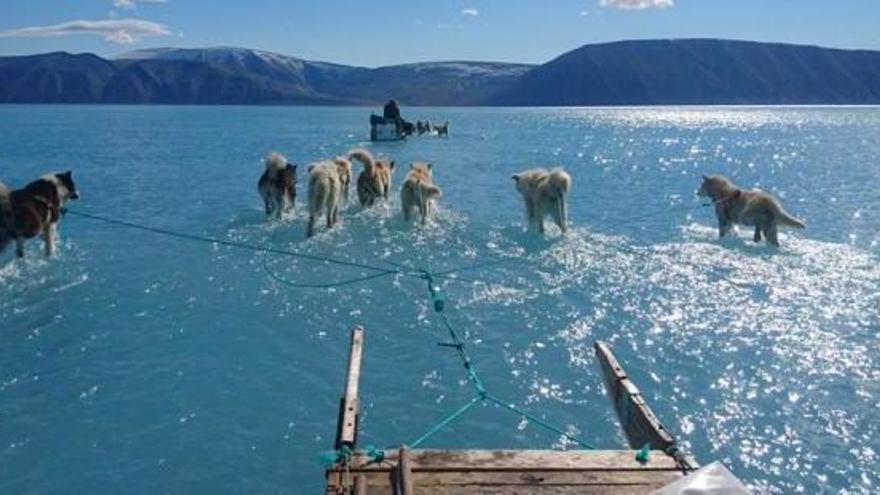La foto de Groenlàndia que s&#039;ha fet viral.