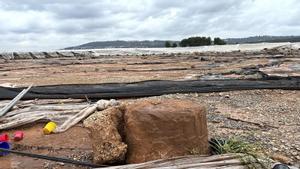 19/11/2024 Temporal.- AVA-Asaja urge a Planas a convocar la mesa técnica de la dana para priorizar las reparaciones. La Asociación Valenciana de Agricultores (AVA-Asaja) considera un insulto que el ministro de Agricultura, Luis Planas, no haya convocado aún la mesa técnica que prometió a las organizaciones agrarias tras los daños provocados por la dana y le ha instado a constituirla de manera urgente para que conozca de boca del sector la información real a pie de campo y planifique las actuaciones a realizar por orden de prioridades, según las necesidades de los cultivos. ECONOMIA AVA-ASAJA