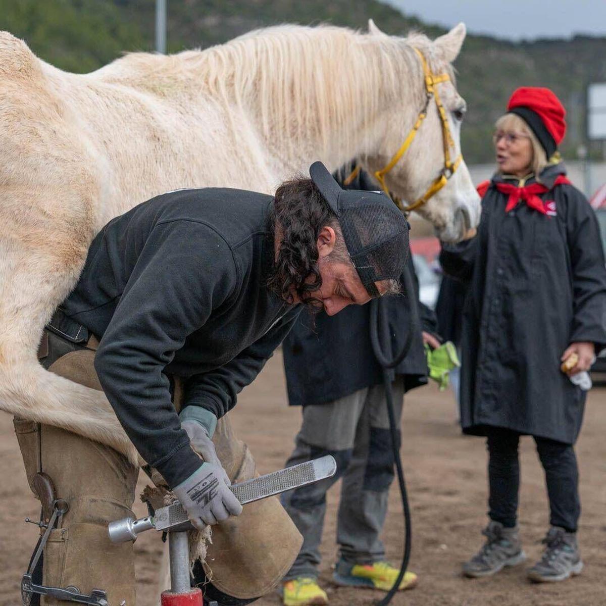 La Corrida en família d'aquest dissabte ha permès als més petits passejar en poni o ruc, participar en tallers i gaudir de demostracions de doma de cavalls.