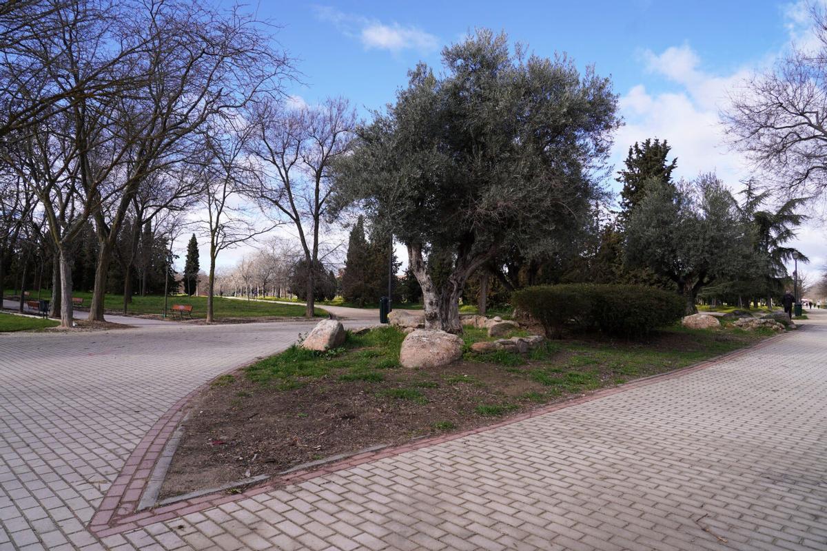 Foto de archivo del parque de Las Cruces