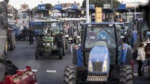 Aragonès urgeix per carta Sánchez a buscar solucions per a l’agricultura