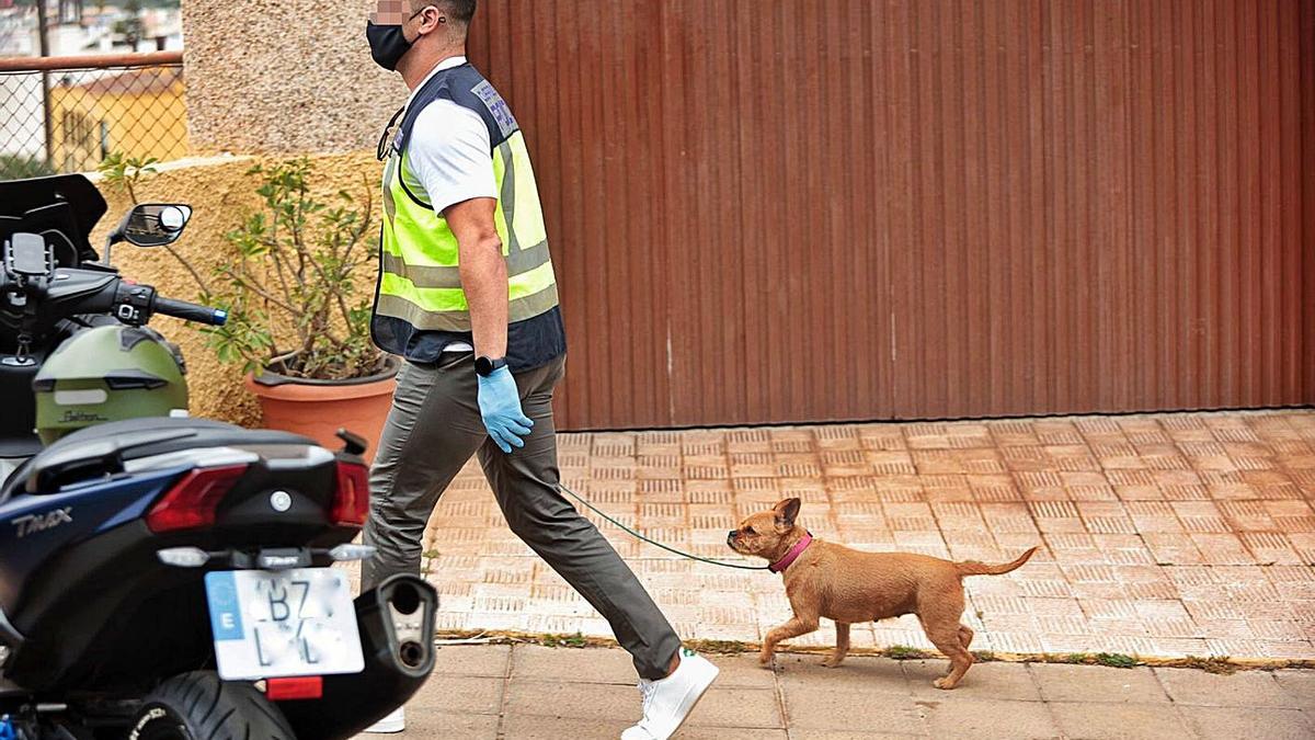 Detenido un hombre por matar a puñaladas y golpes a su tía en La Laguna