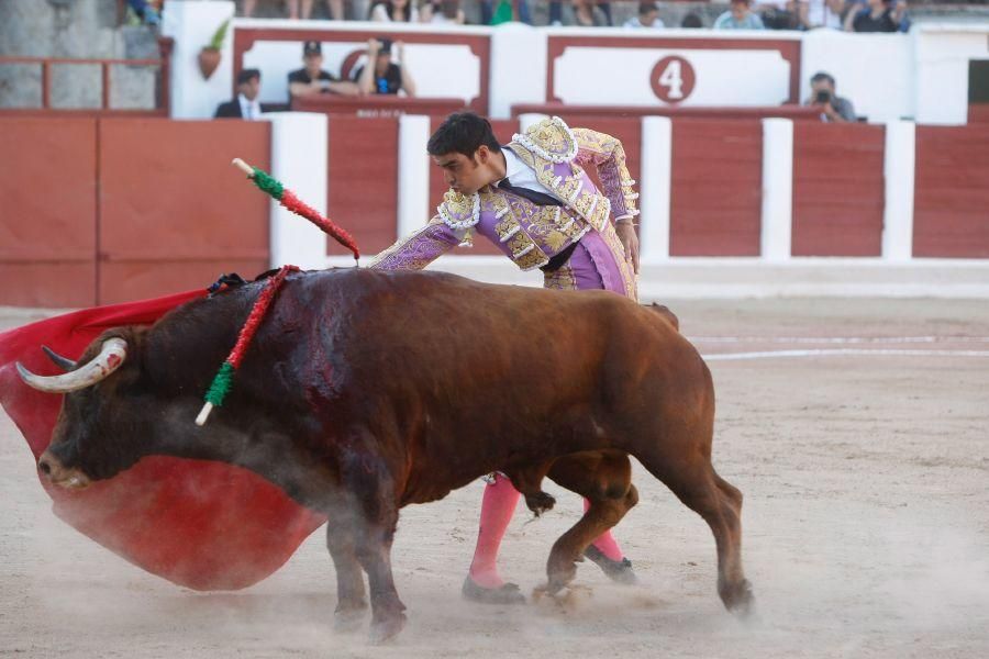 Toros en Zamora