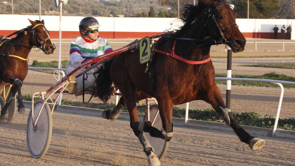 Indian Above, con Jeroni Fuster, en el ‘Premi Sant Antoni’ en el hipódromo de Manacor