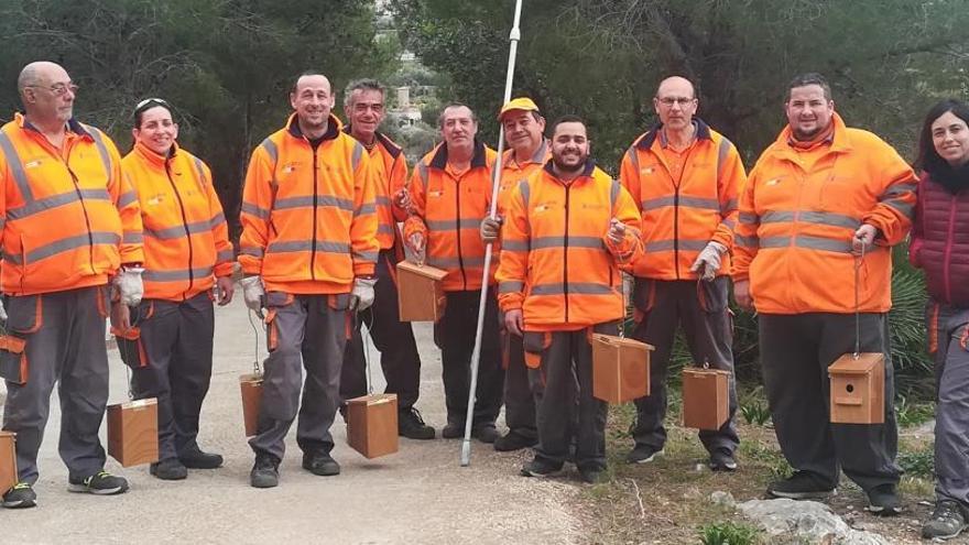 Cajas nido para combatir la procesionaria en el parque público de Segària