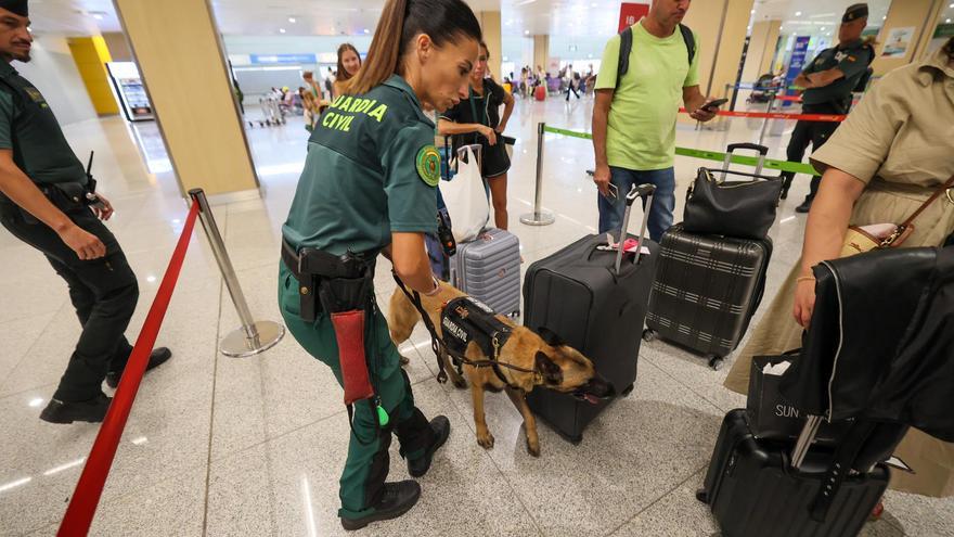Una 'mula' con discapacidad y dos maletas llenas de MDMA y cocaína rosa en el aeropuerto de Ibiza: las claves de un juicio por drogas