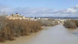 La CHG destina 36 millones para evitar inundaciones en 13 puntos de Córdoba