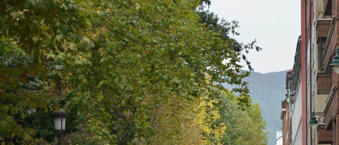 La calle Leopoldo Fernández Nespral, uno de los viales donde se aplicará la zona azul gratuita en el centro de Sama.