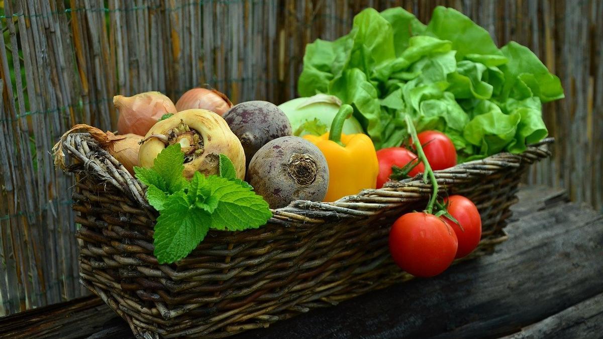 Verduras y hortalizas.