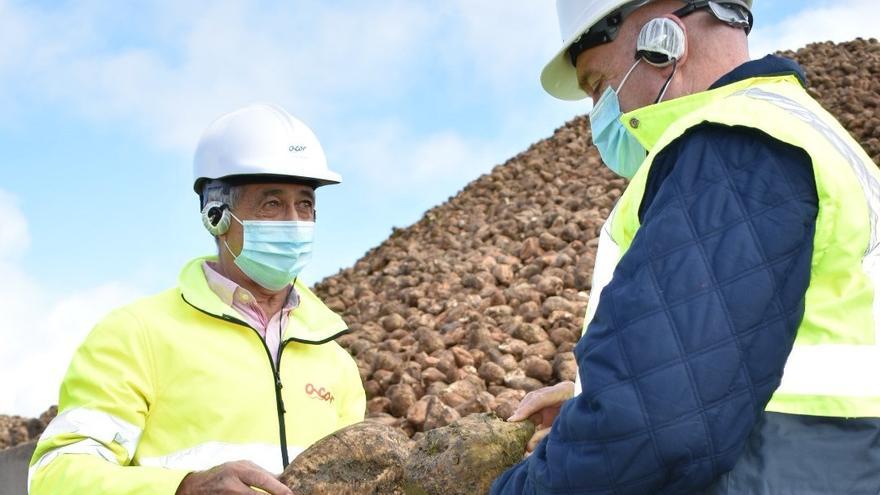 Carnero y un responsable de ACOR comprueban la calidad de la remolacha