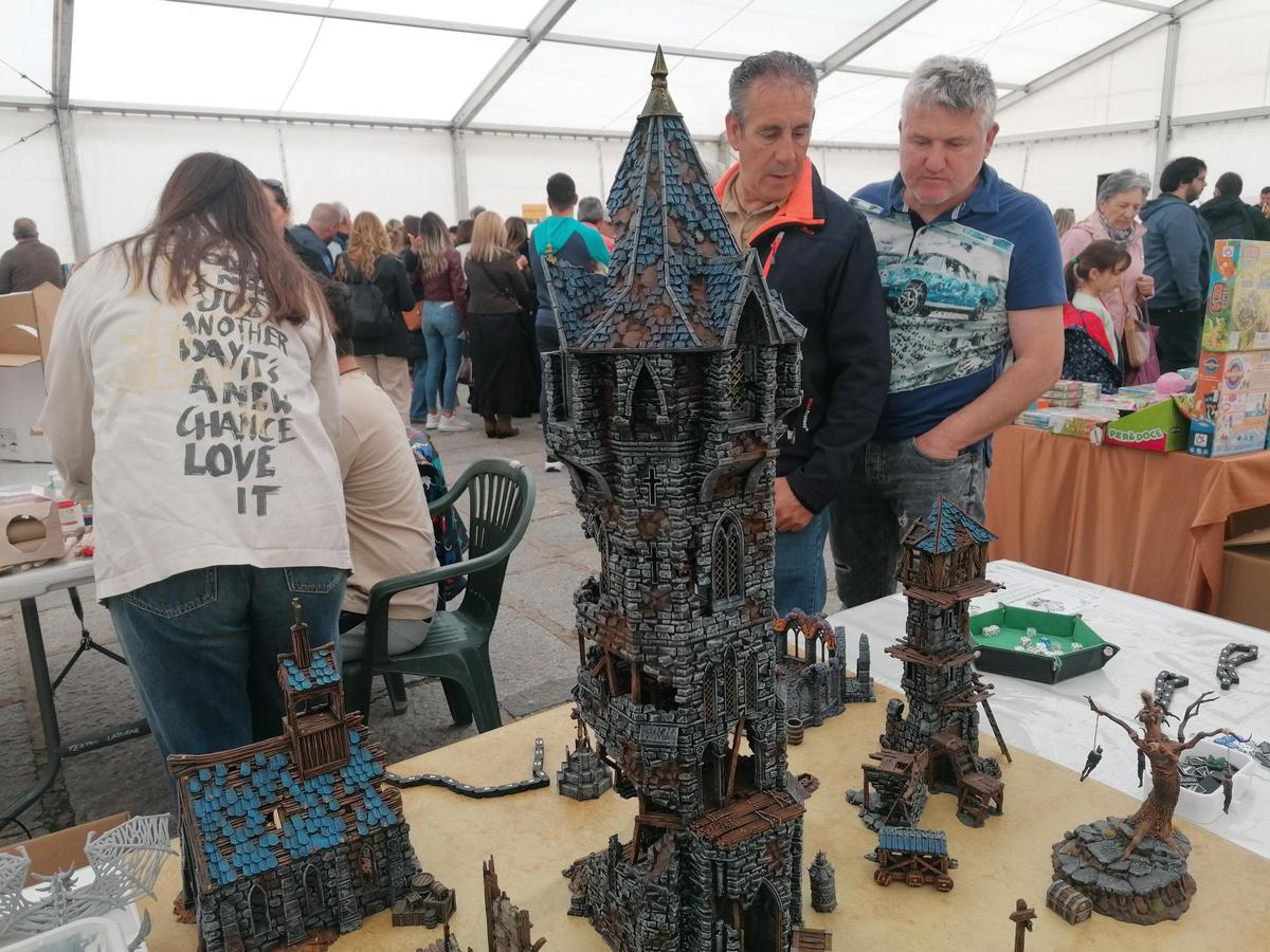 GALERÍA | La Feria del Libro de Toro, una cita con la cultura