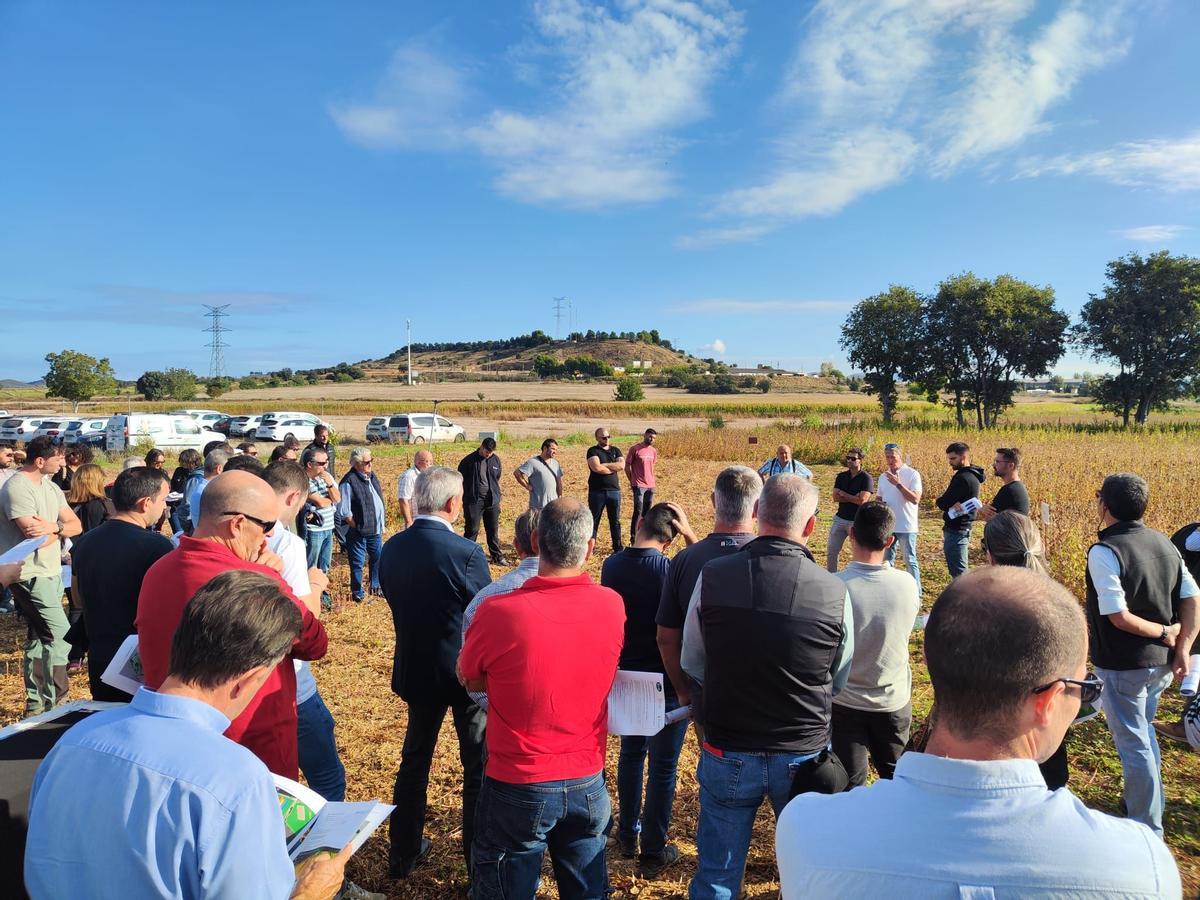 Jornada en un campo de soja organizada por la Cooperativa Agrícola de Barbastro.