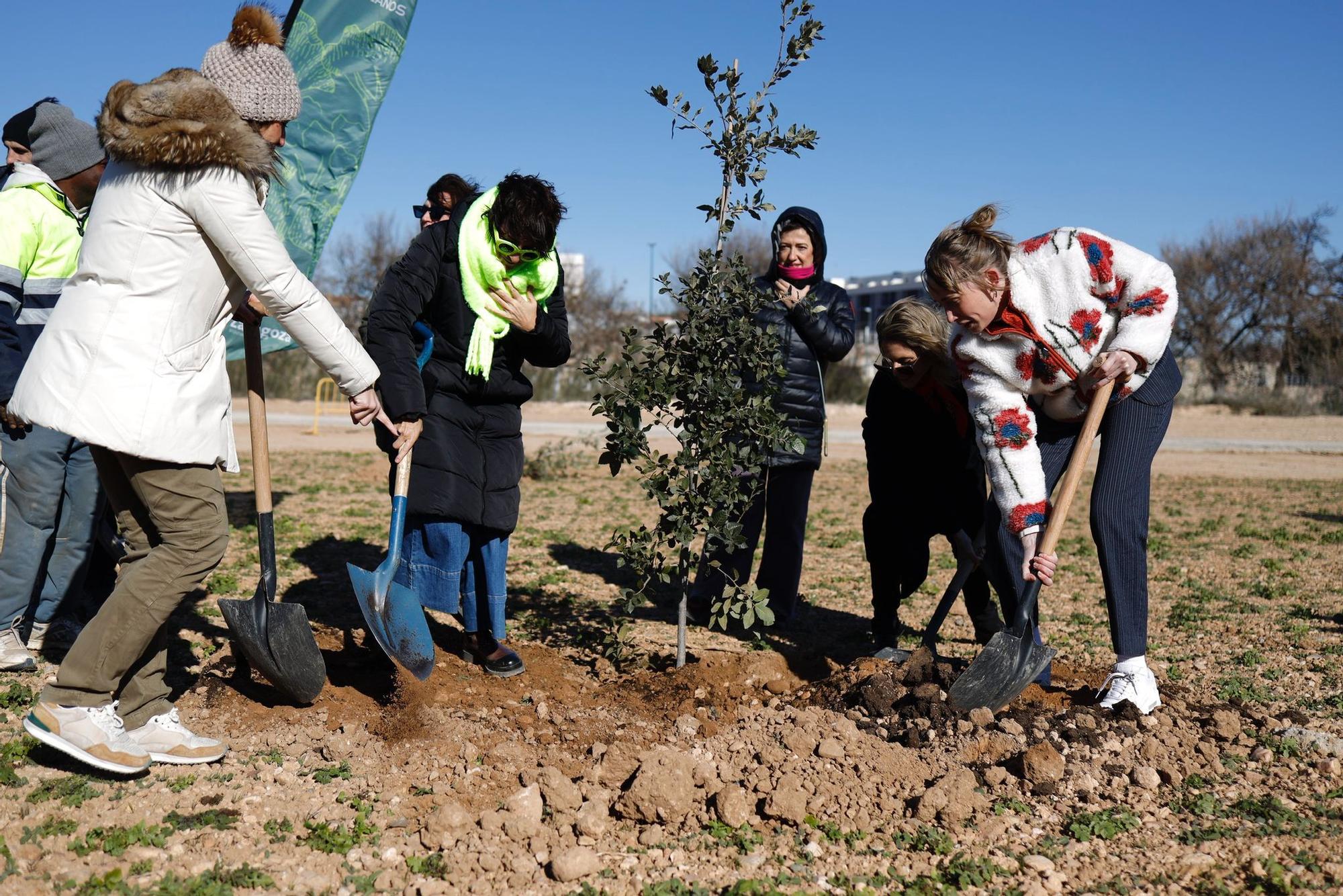 Protagonistas de los Feroz plantan árboles en el Bosque de los Zaragozanos