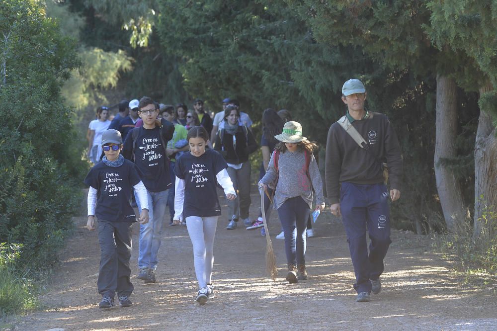 Reforestación en el Clot de Galvany, en imágenes