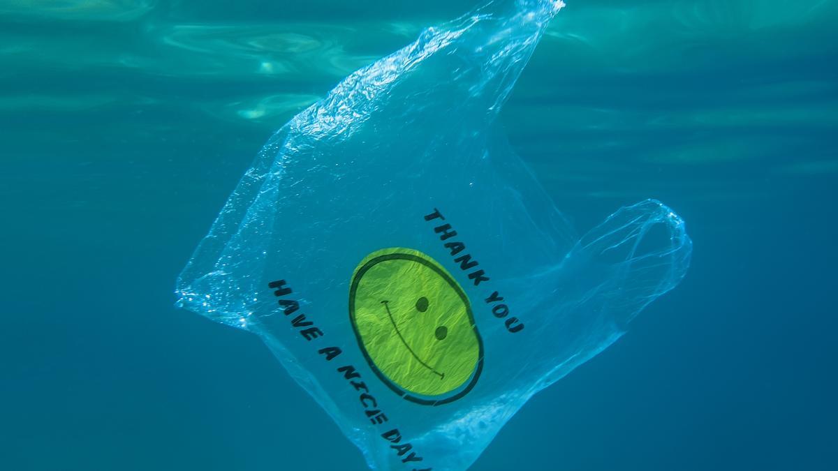 Alemania prohíbe las bolsas de plástico desechables a partir de 2022
