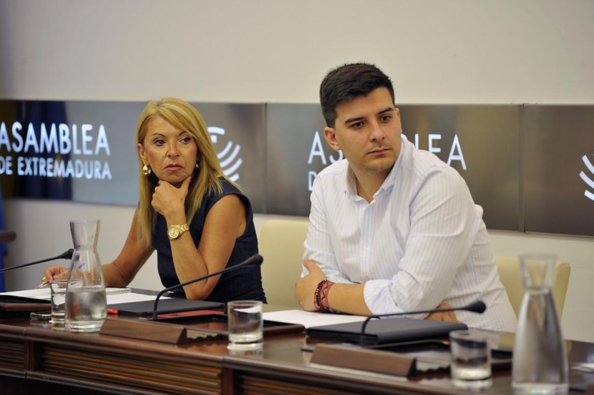 La portavoz del grupo socialista, Piedad Álvarez.