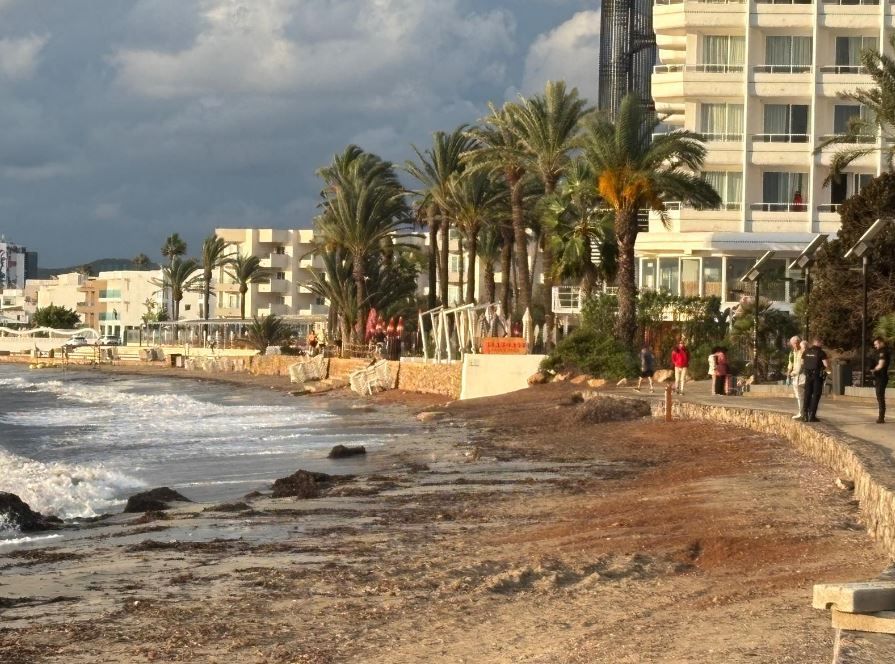 Encuentran el pie de una persona en Platja d'en Bossa