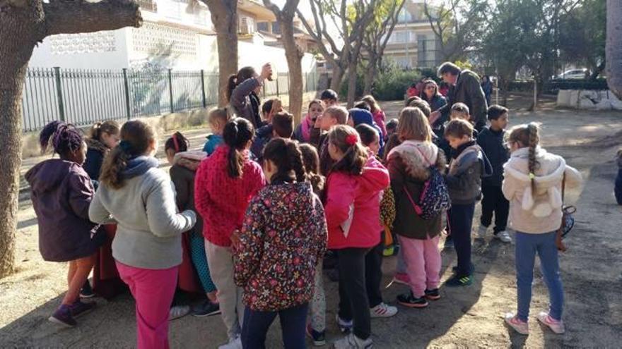 Los escolares de Sedaví celebran el Día del Árbol