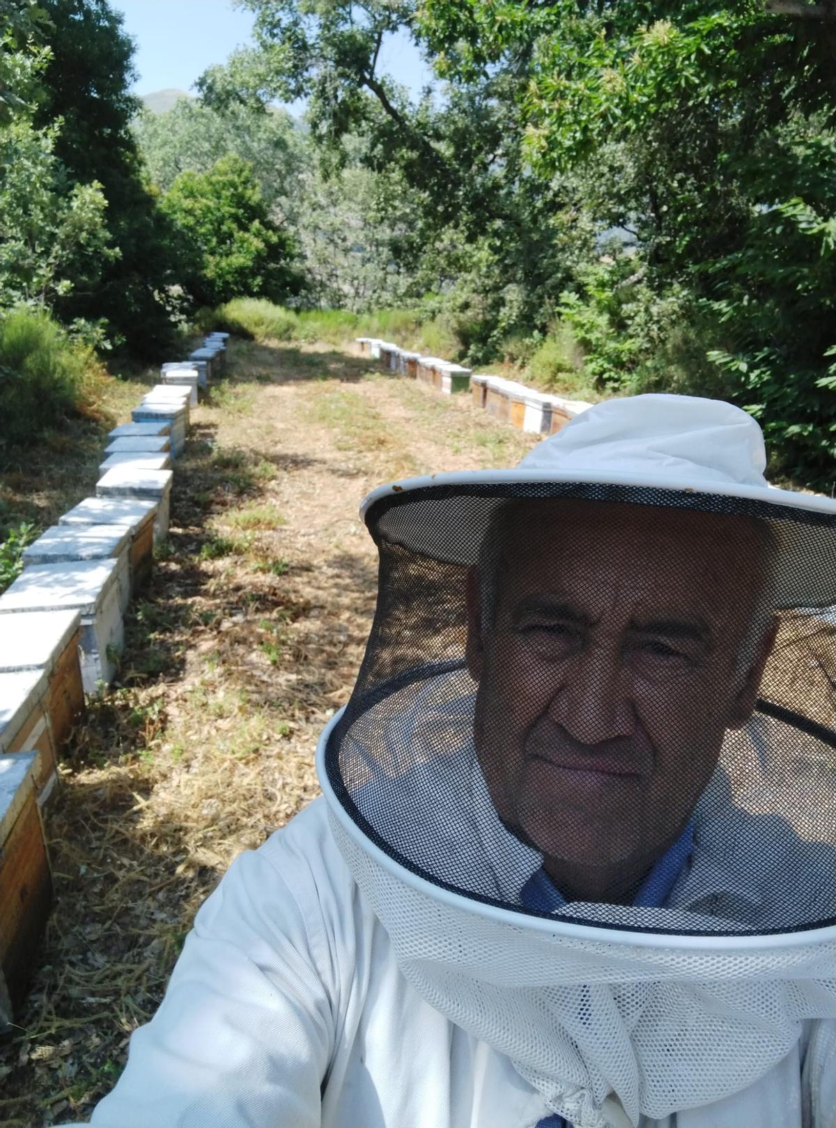 Virgilio con sus colmenas.