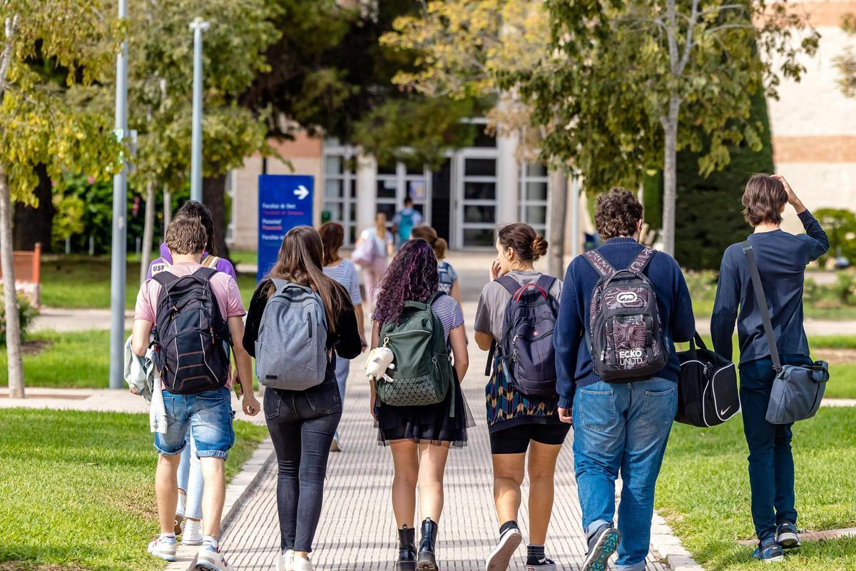 Estudiantes universitarios en el campus de la UA.