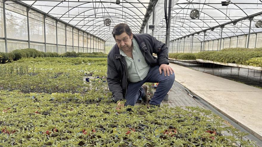 Arranca la campaña de cultivo en huerta, con retraso debido a la lluvia
