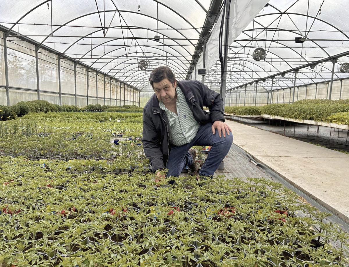 José Manuel Agra en su vivero de Lalín.  | BERNABÉ