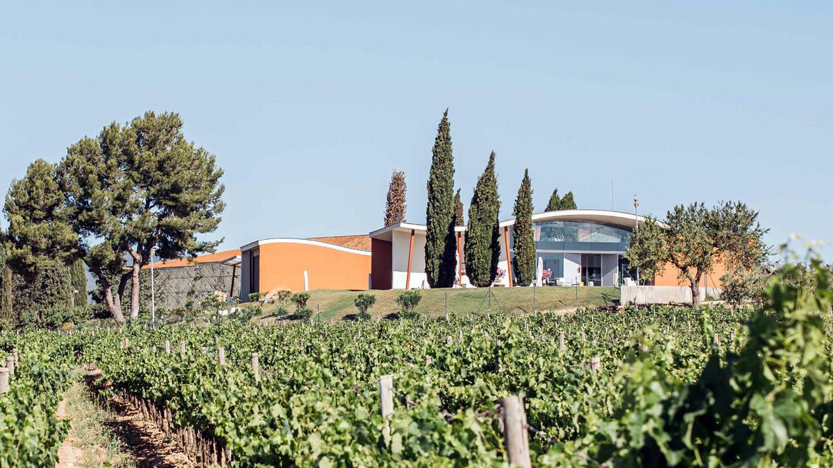 Instalaciones de la bodega Jean Leon en la comarca del Penedés.