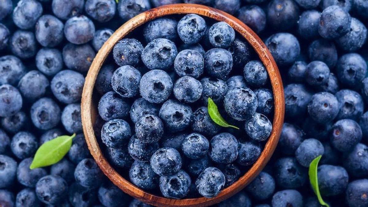 Els nabius són un imprescindible en qualsevol dieta per les seves propietats antioxidants