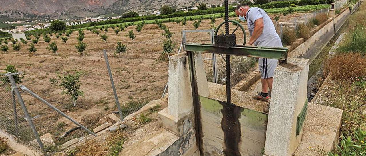 Imagen de un azarbe de riego en la huerta de Orihuela. | TONY SEVILLA