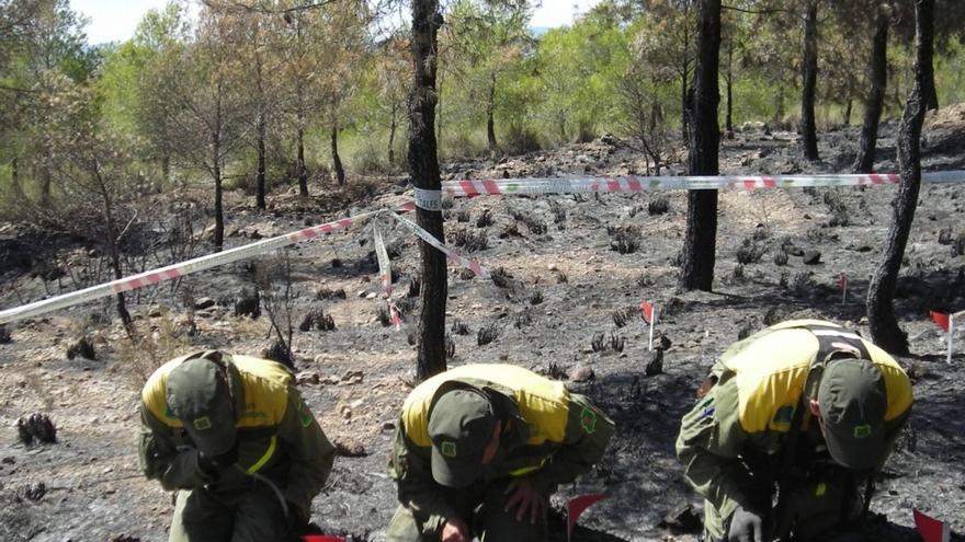 Veinte años de vigilancia en la Región de la Brigada de Investigación de Delitos Ambientales